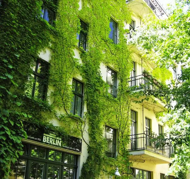 Baumarbeiten und Gartenpflege mit lokalem Dienstleister wie zum Beispiel mit den Baumbrüdern Berlin