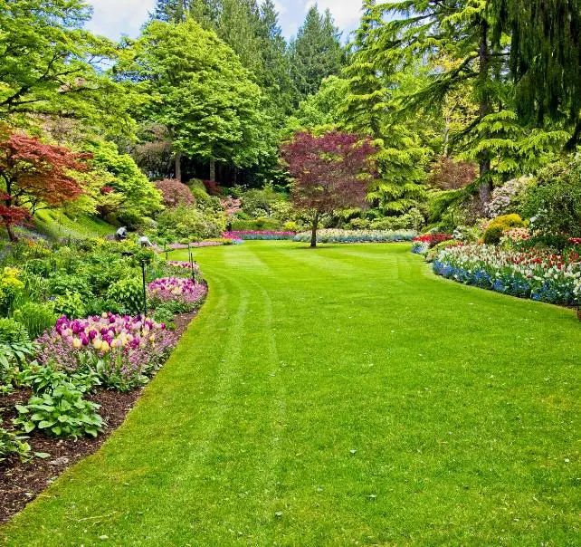 Ein typisches Beispiel für Gartenpflege und Baumarbeiten in Berlin, gepflegt von der BaumBrüder Berlin GmbH