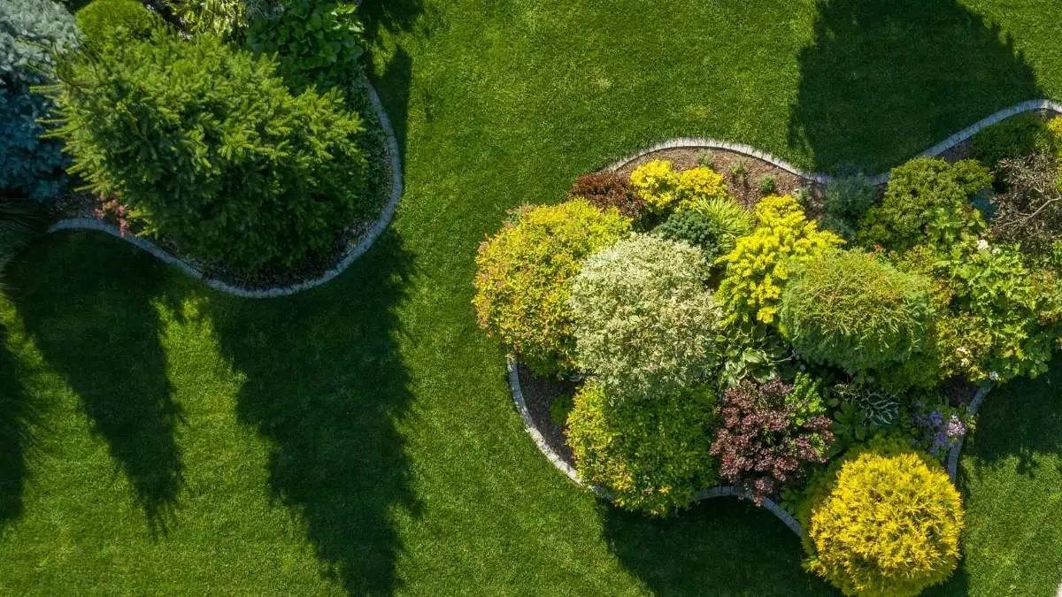 Gartenpflege in Berlin- Jetzt loslegen mit Leistungen der BaumBrüder Berlin GmbH