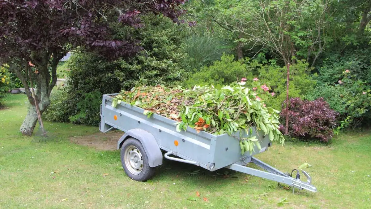 Die BaumBrüder sind auch zuständig, wenn dein Gartenabfall zu entsorgen ist.