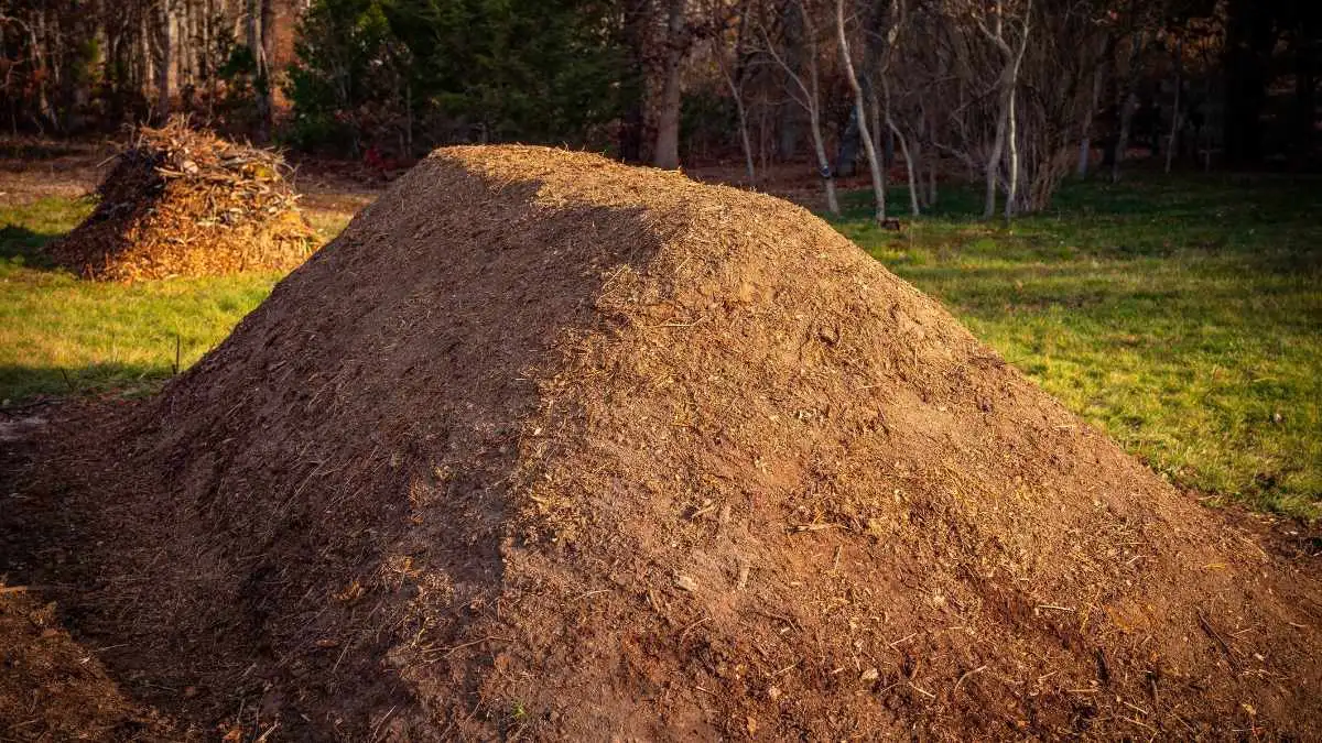 Bei den BaumBrüdern findest du jeglichen Gartenbedarf und kannst ihn dir liefern lassen.