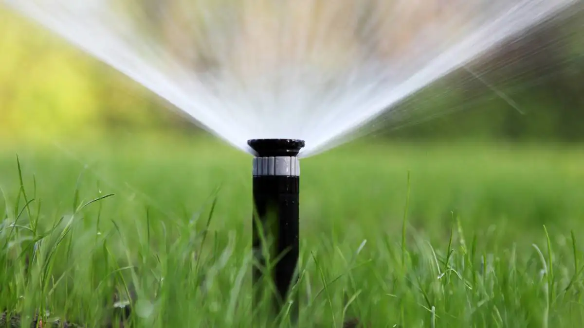 Bewässerungstechnik ist für jeden Garten wichtig, dadurch kann dein Garten automatisch bewässert werden. Die Baumbrüder installieren diese Anlage und beraten bei der Planung.
