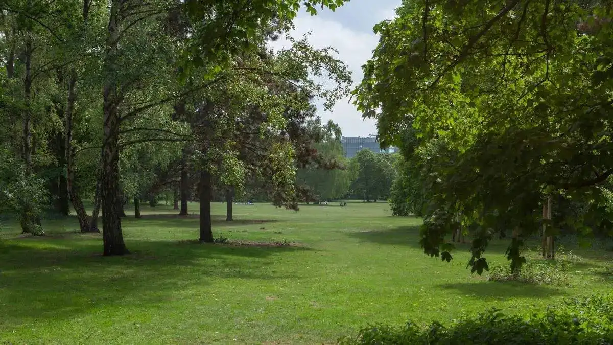 Öffentliche und kommunale Gartenpflege in Berlin – Gepflegter Park im Berliner Tiergarten.