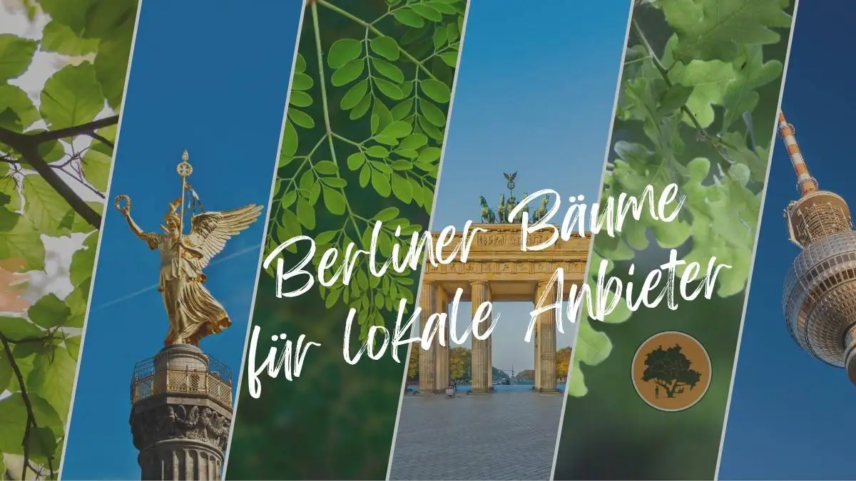 Berliner Bäume und lokale Handwerker
