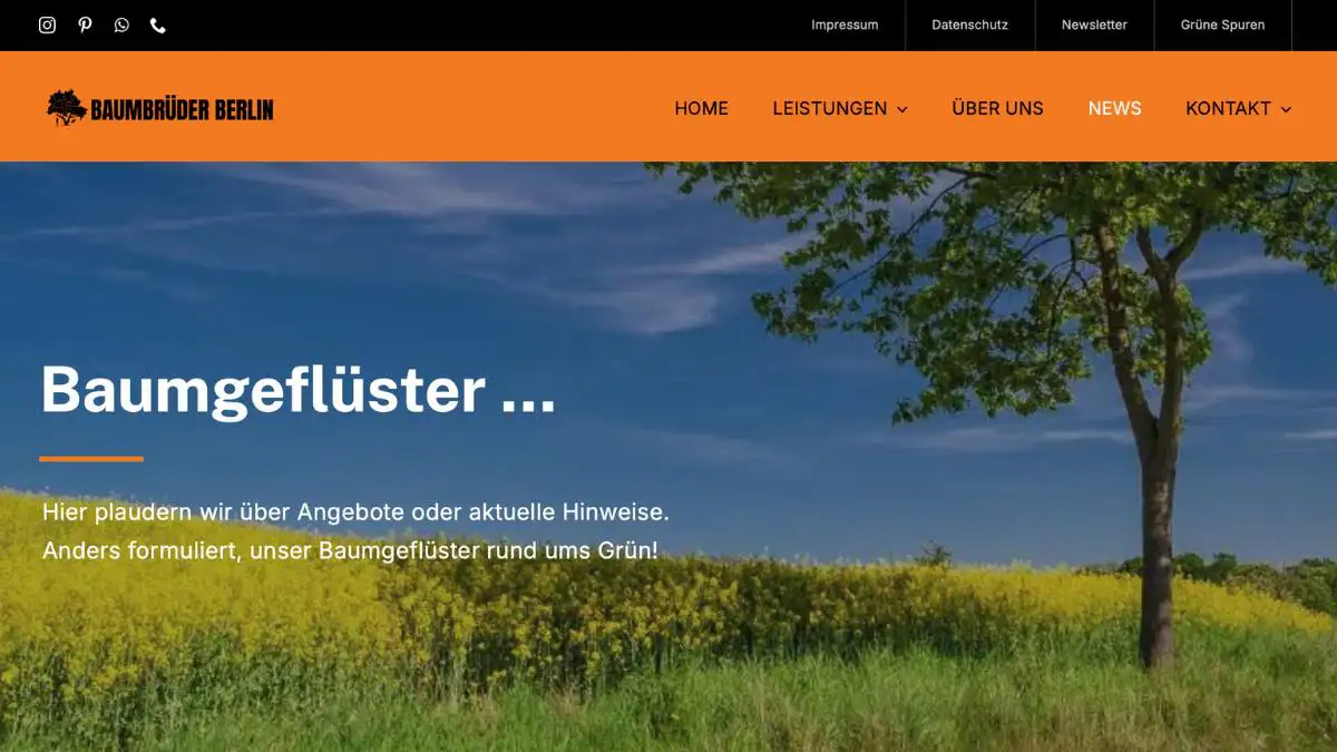 Es ist soweit, die neue Webseite ist online!