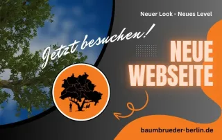 Die neue Webseite der BaumBrüder Berlin GmbH, jetzt entdecken und mehr erfahren.