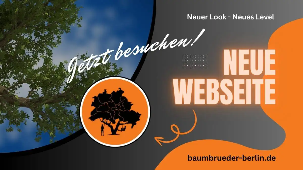 Die neue Webseite der BaumBrüder Berlin GmbH, jetzt entdecken und mehr erfahren.
