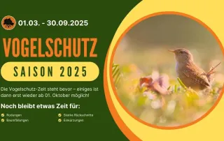 Bild zum Beitrag für die Vogelschutzzeit 2025 in Berlin