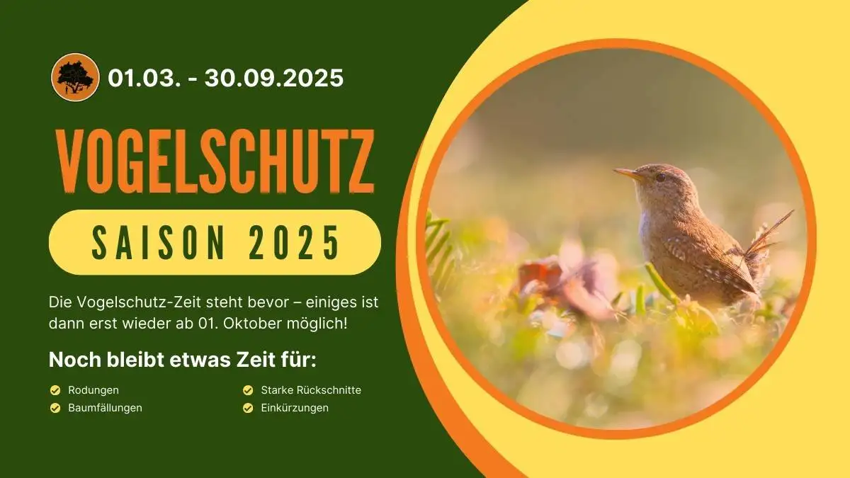 Bild zum Beitrag für die Vogelschutzzeit 2025 in Berlin