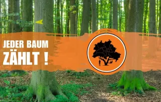 Beitragsbild für den Post: jeder Baum zählt!