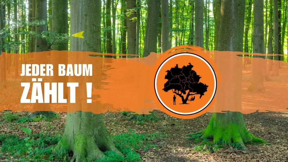 Beitragsbild für den Post: jeder Baum zählt!